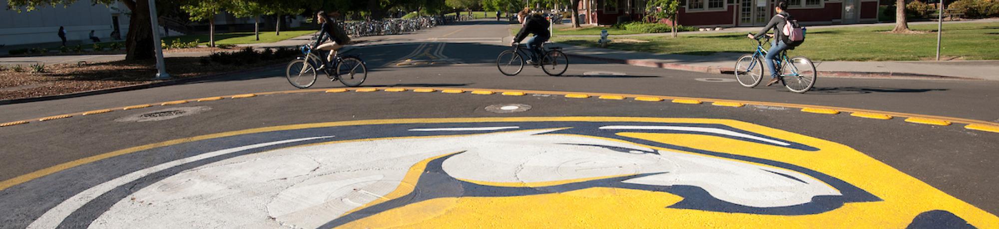 Bike Circle at UC Davis