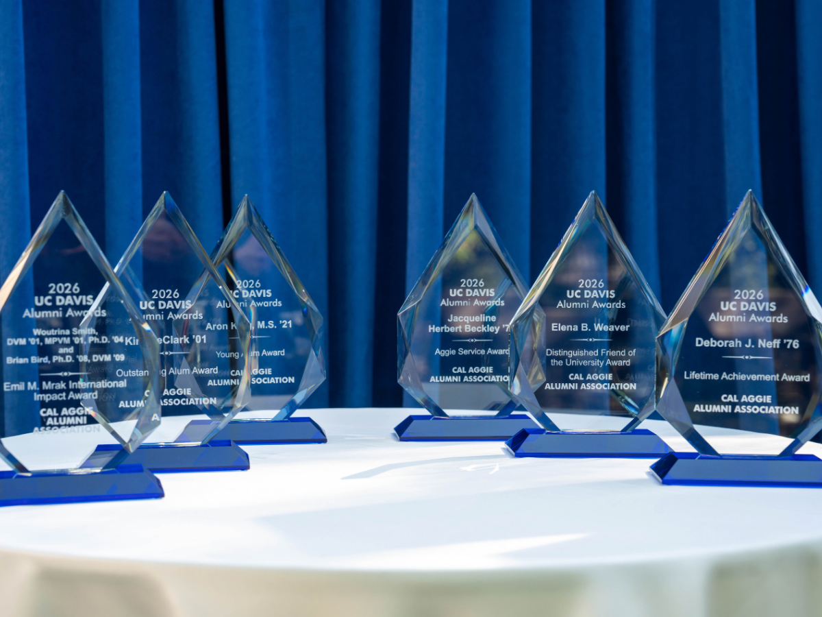 Crystal leaf-shaped glass awards on white table, blue curtain backdrop
