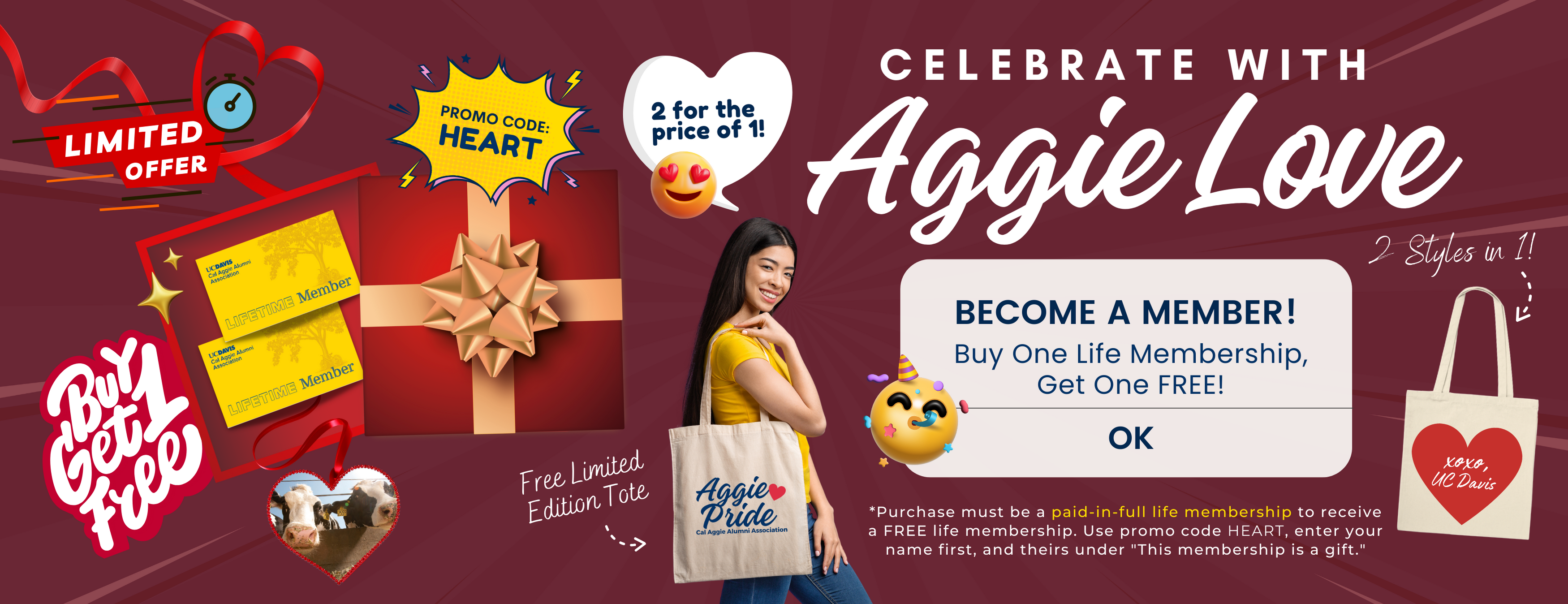 Red background with illustrations that read "Limited offer";, "Buy 1 get 1 free" and a white heading that reads "Celebrate with Aggie Love" and "Buy one life membership, get one free".