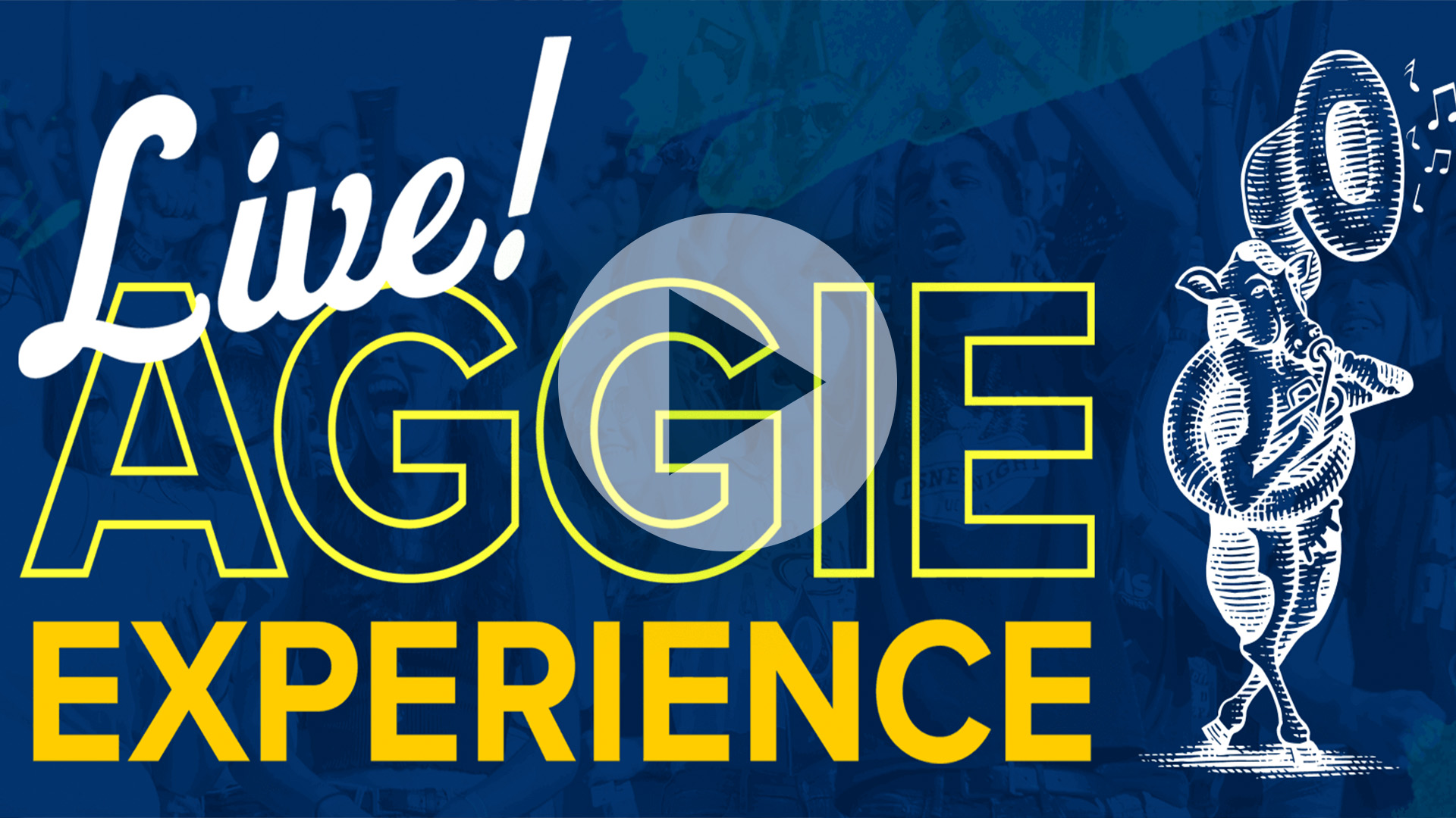 Live! Aggie Experience