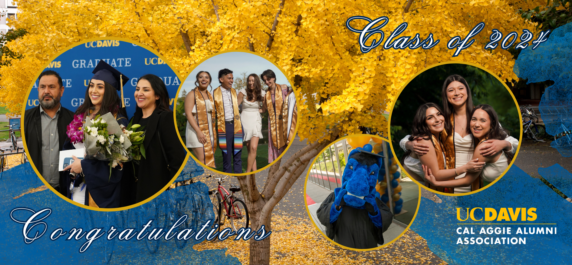 Congratulations Class of 2024! Become a Member of the Cal Aggie Alumni Association!