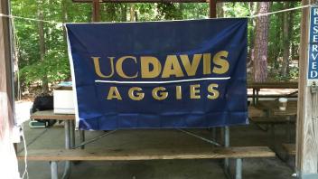 UC Davis flag 