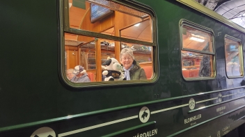 train