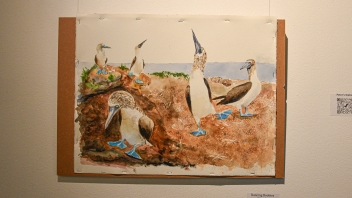 A group of wild birds in wetlands as depicted by a watercolor painting.