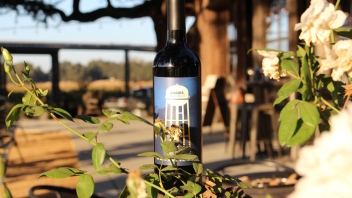 Bottle of wine outside the Heringer estate. 