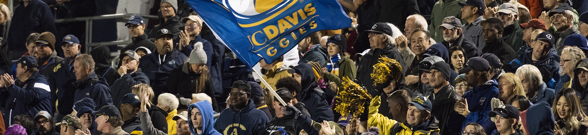 Crowd cheering in the stand with various yellow and blue accents and one sign that reads &#34;UC Davis Aggies&#34;.