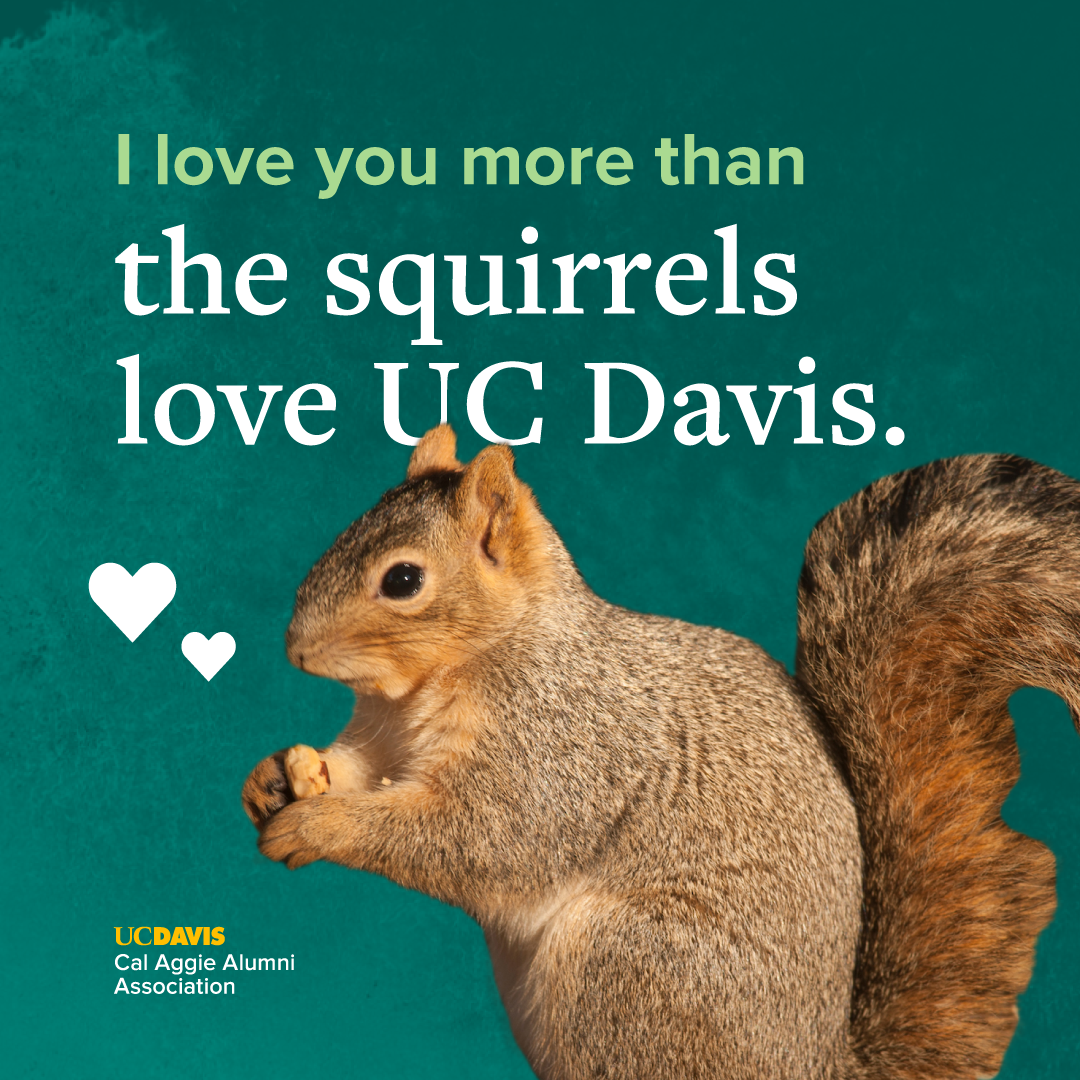 I love you more than the squirrels love UC Davis