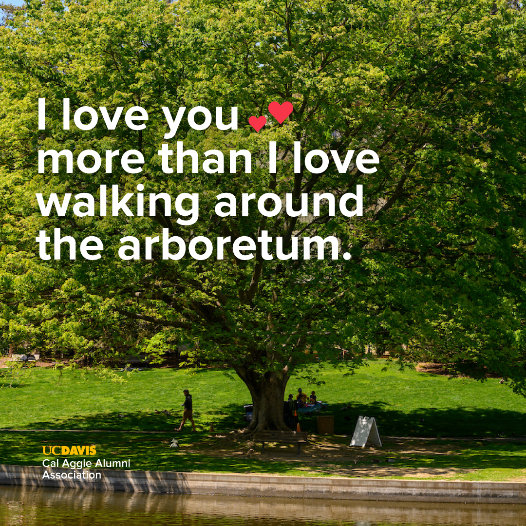 I love you more than I love walking around the arboretum