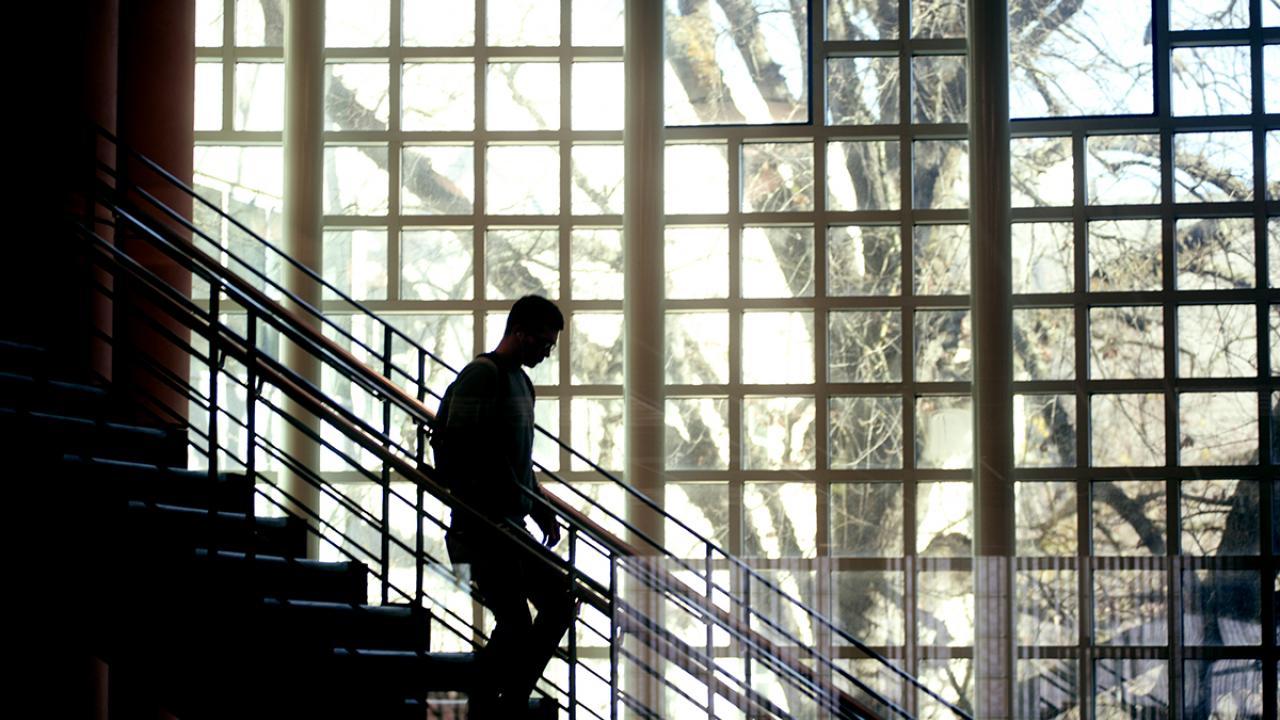 Student walking down stairs in UC Davis Library