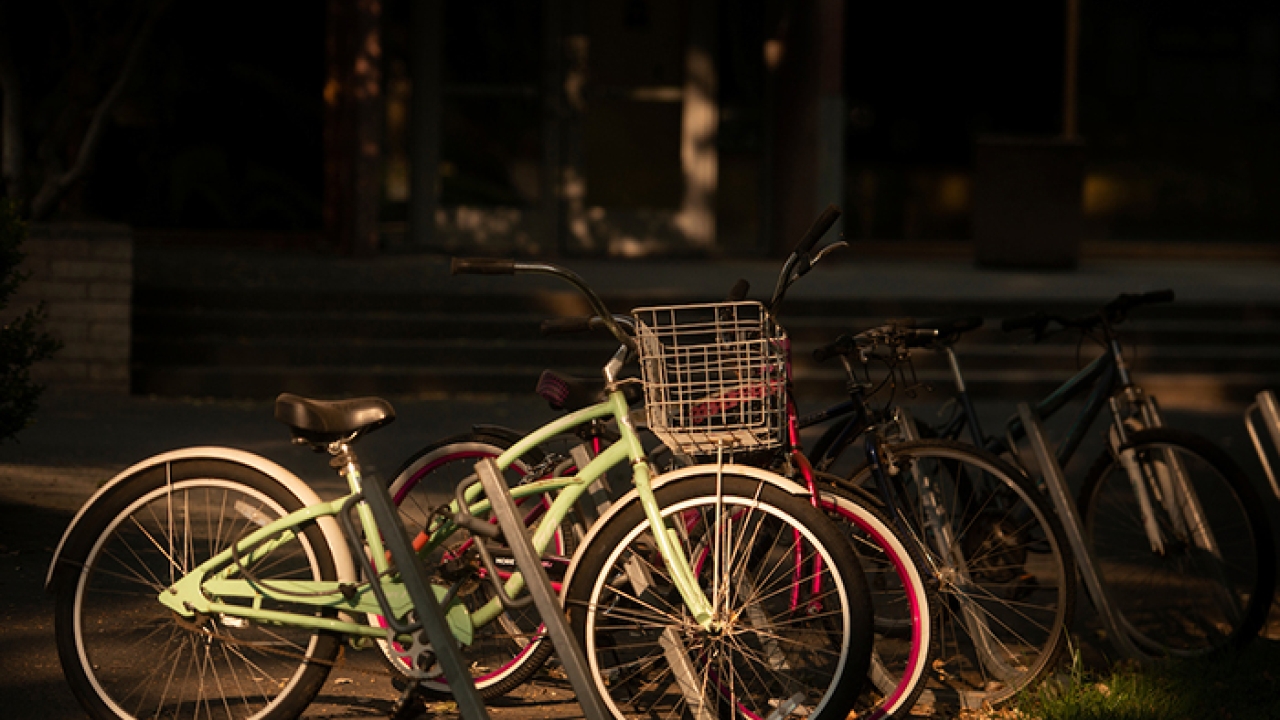 Bikes in sunlight