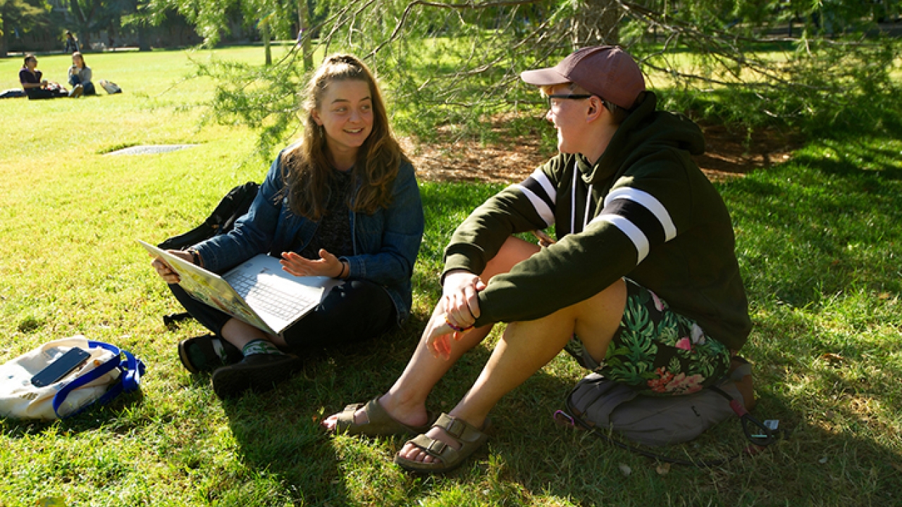 Students sitting in quad