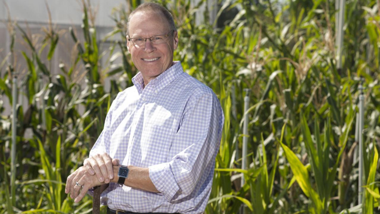 EVANS STANDS IN THE STUDENT FARM AT UC DAVIS