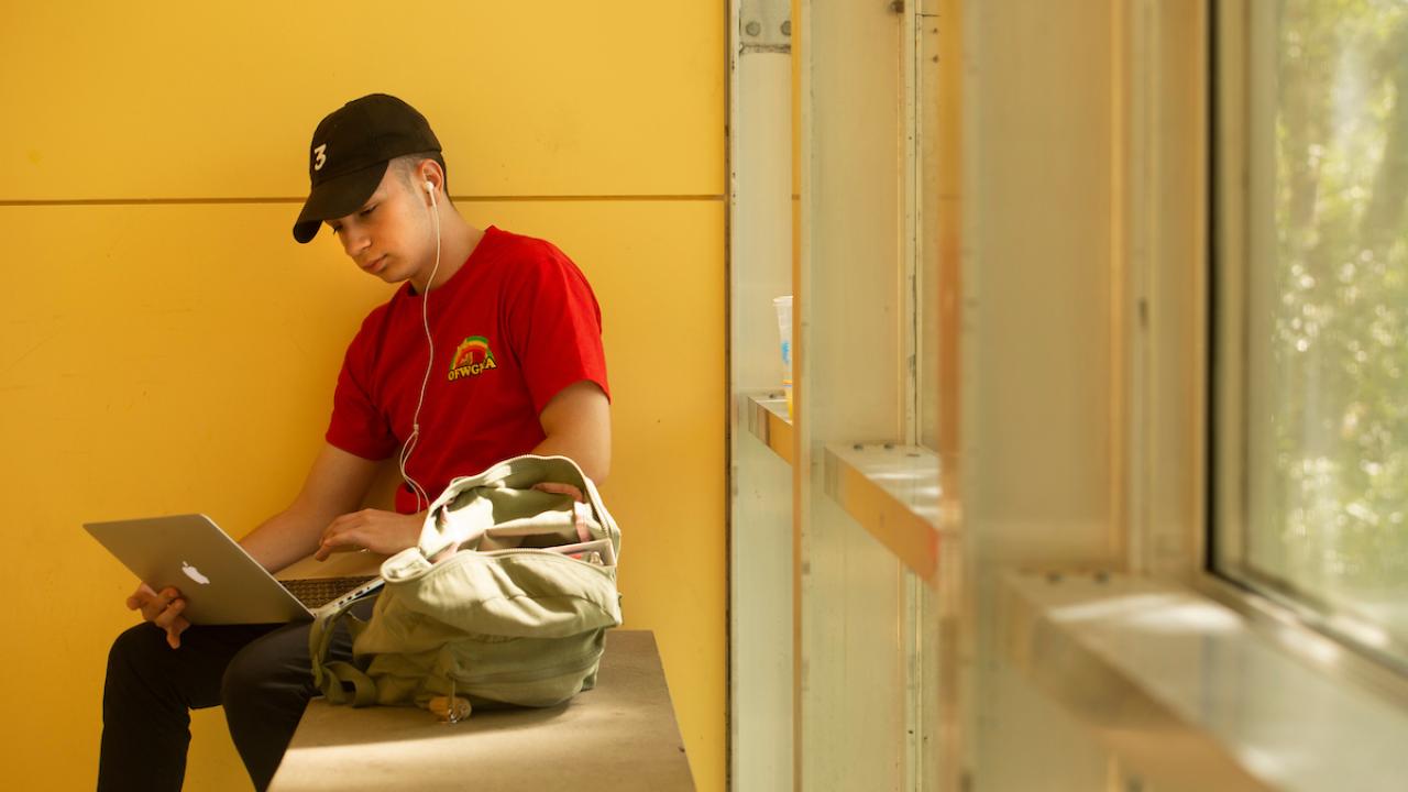 Student on computer sitting against a yellow wall