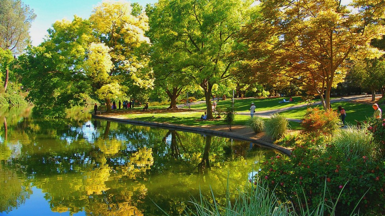 Arboretum