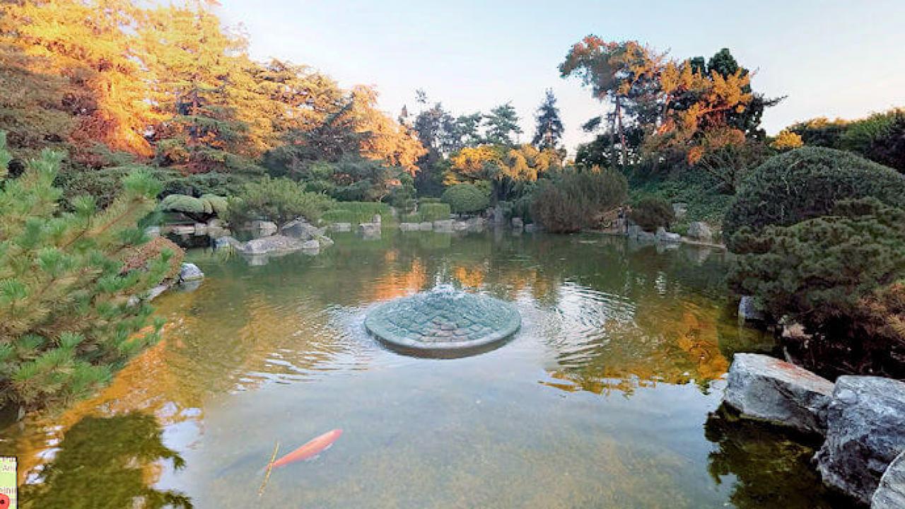 Photo of the Japanese Friendship Garden