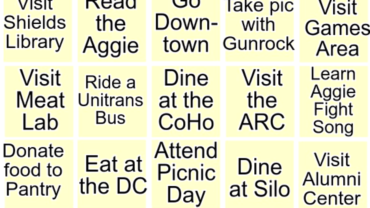 SAA Traditions Bingo