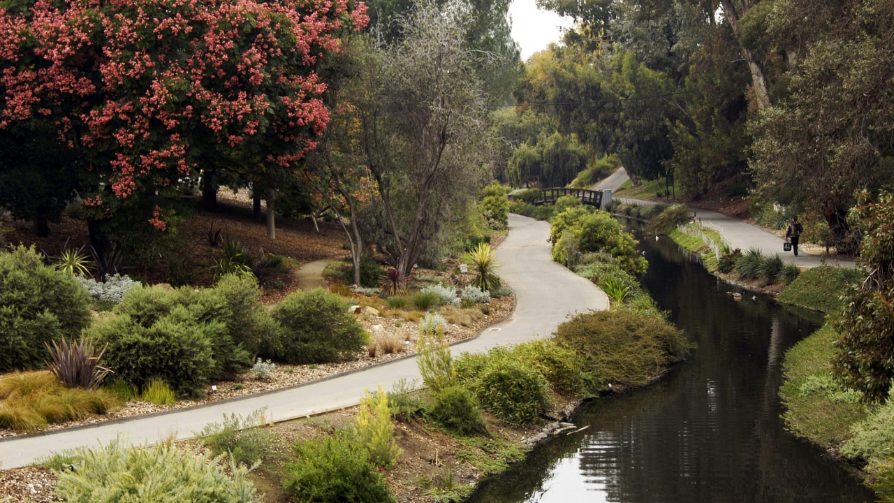 Arboretum and Public Garden pathway along Putah Creek.