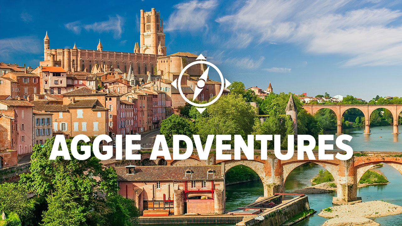 View of Albi, France on the water