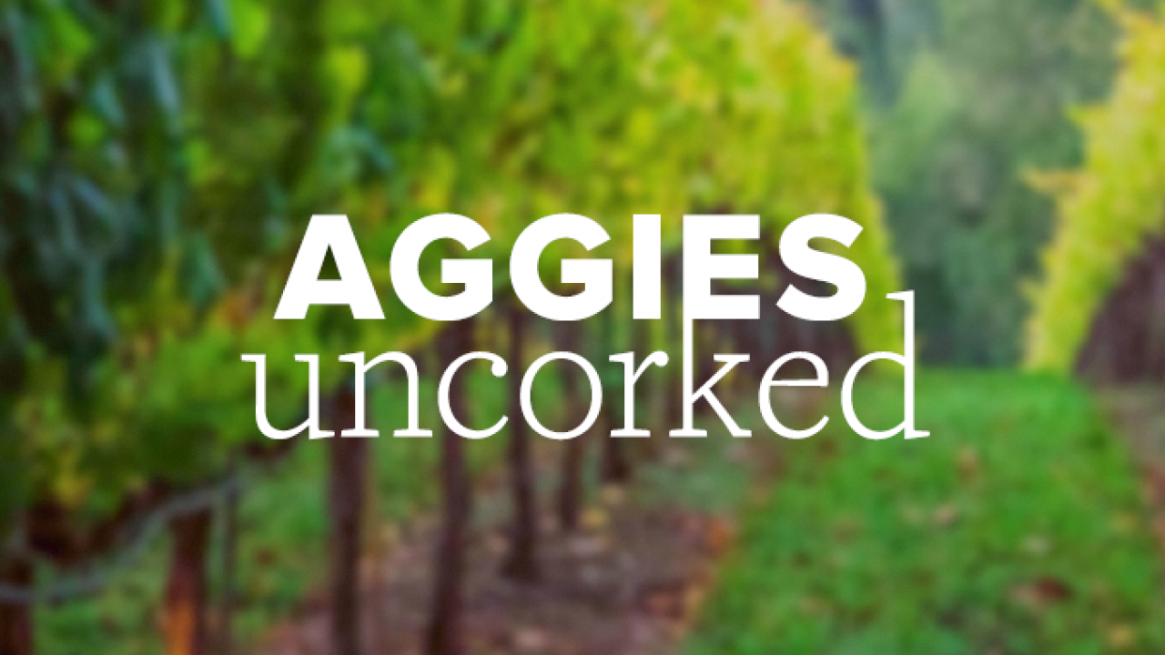 Aggies Uncorked logo placed on top of a photo of a vineyard