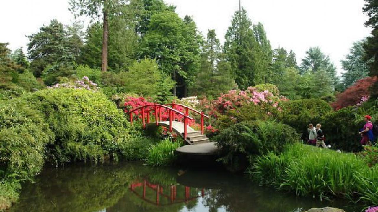 Pond, bridge and greenery 
