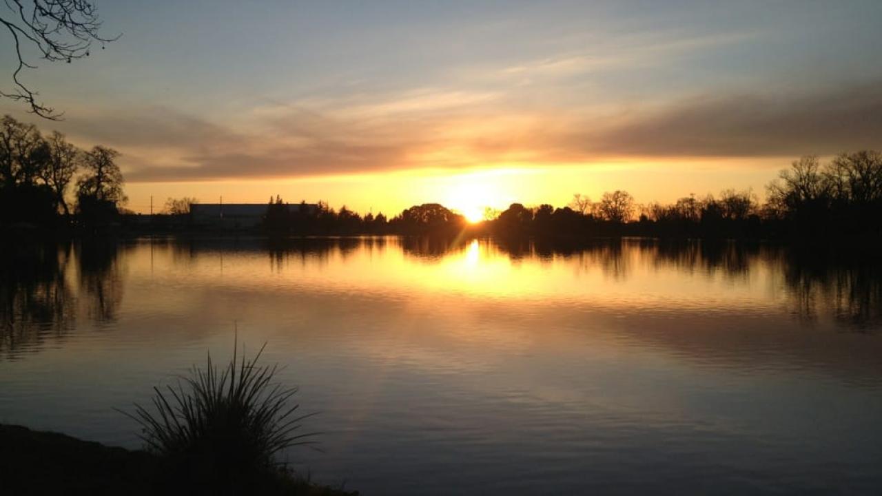 Photo of Lodi Lake