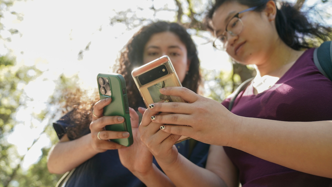 Two students look at their phones.