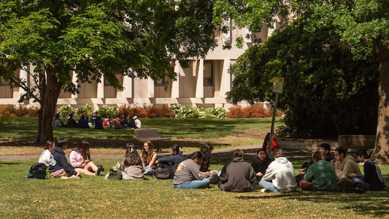 A group of students sitting on the grass in front of trees and a building in the background