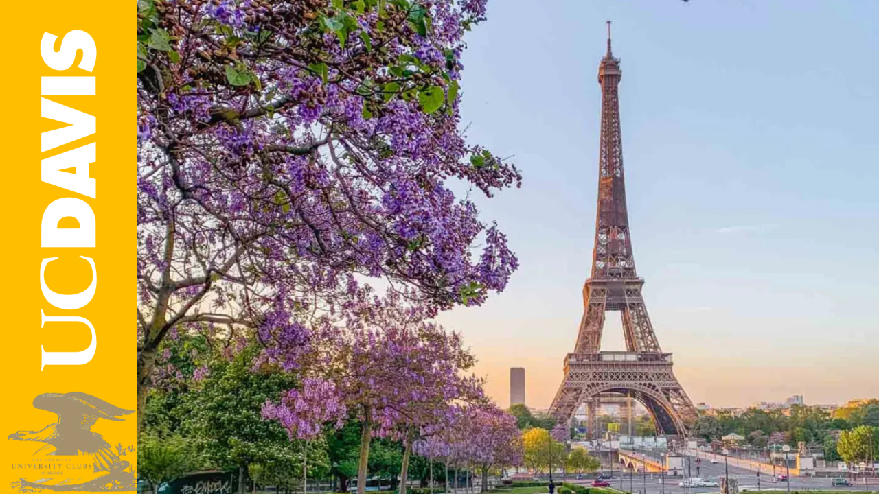 purple flowers in front of the Eiffel Tower