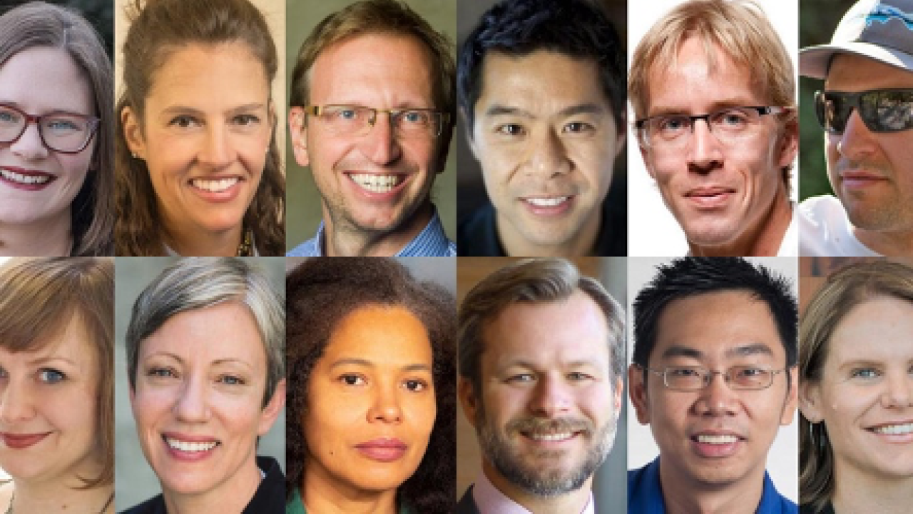 Our current crop of Chancellor’s Fellows, brilliant researchers and teachers who engage undergraduates in their exciting discoveries.