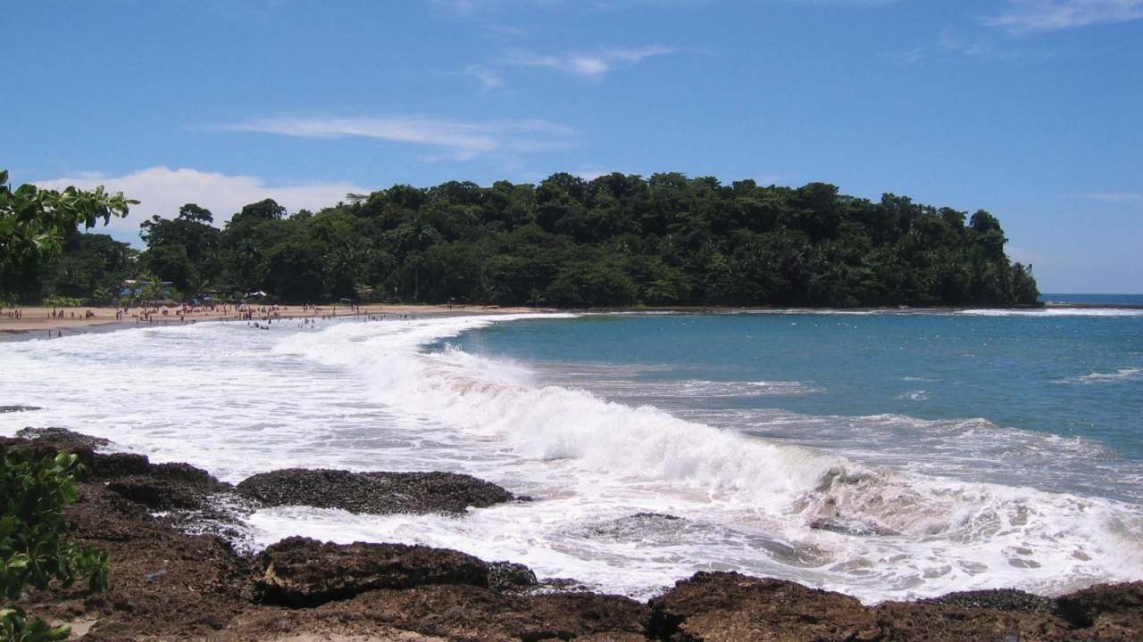Lush green forest with beach in front