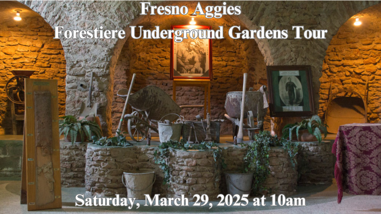 Brick-lined room with colonnades with wagons, buckets, and plants displayed and photographs on the wall. Overlaid with the text, "Fresno Aggies Forestiere Underground Gardens Tour" "Saturday, March 29, 2025 at 10am""