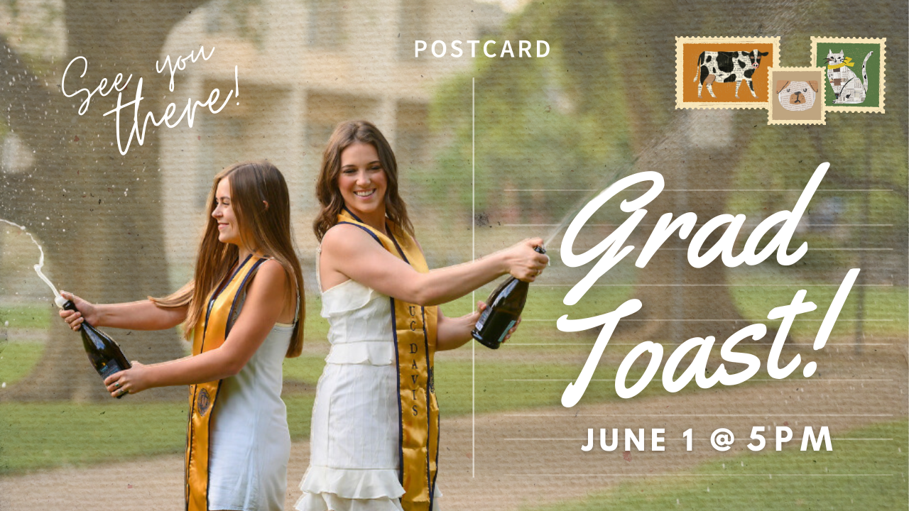 Grad toast to celebrate 2023 new grads