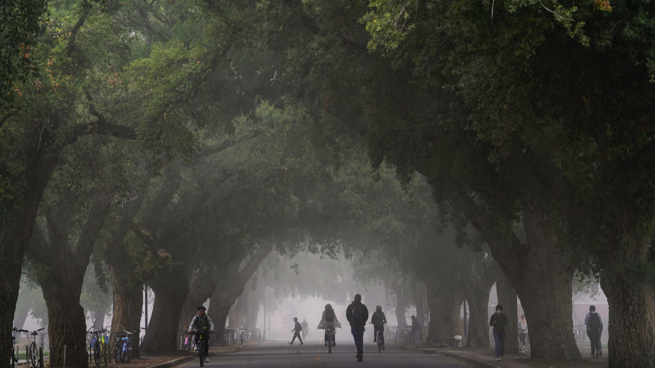 students biking by the MU in fog