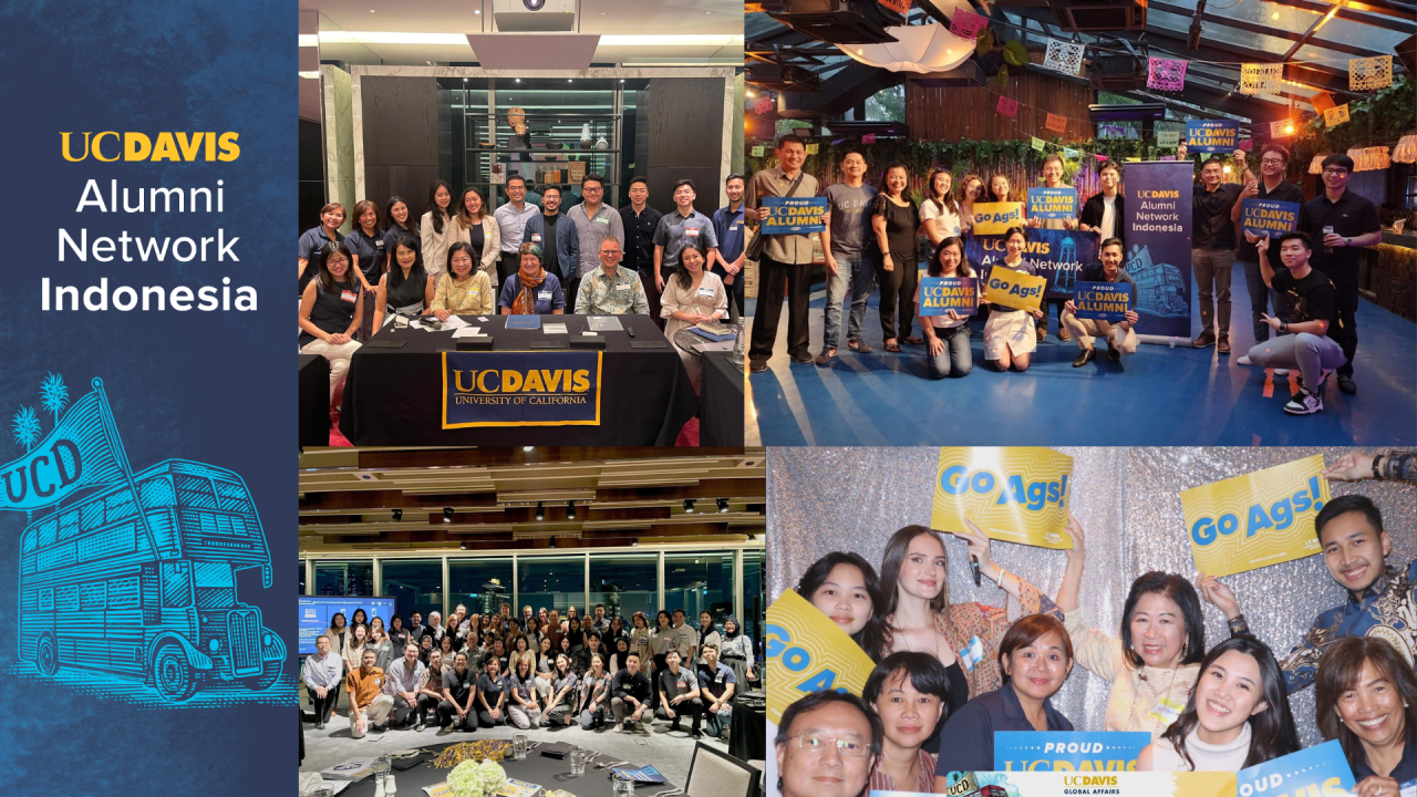Indonesia Network Collage