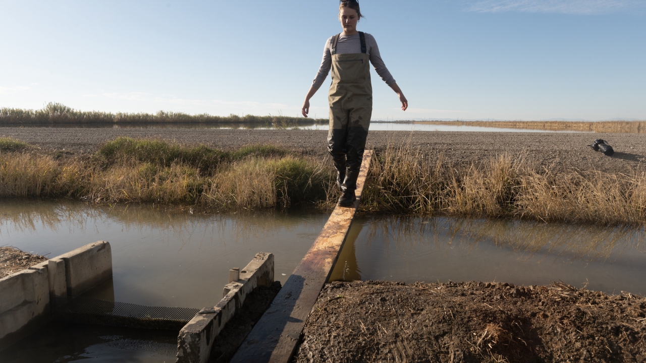 A woman is walking across a wooden plank over a field