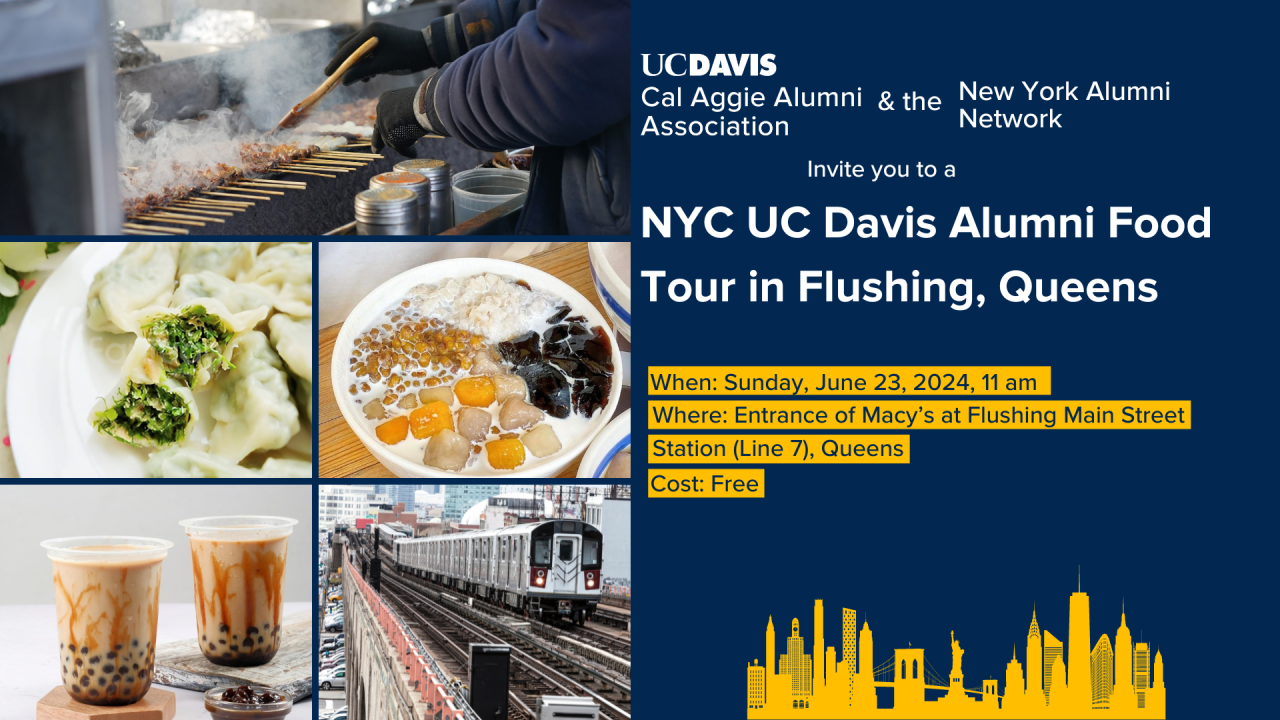 NYC Food Tour Social Graphic with Pictures of Boba, chicken skewers, dumplings, grass jelly dessert, and a NYC Subway. Social will be on Sunday, June 23rd from 11 am to 2 pm in Flushing, Queens, NYC.