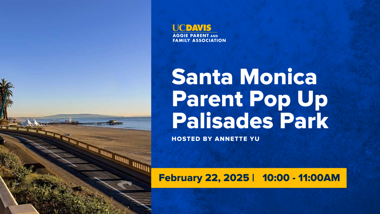 Santa Monica Parent Pop Up