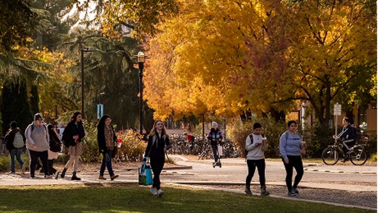 Financial Aid and Scholarships Resources for 20252026 One Aggie Network