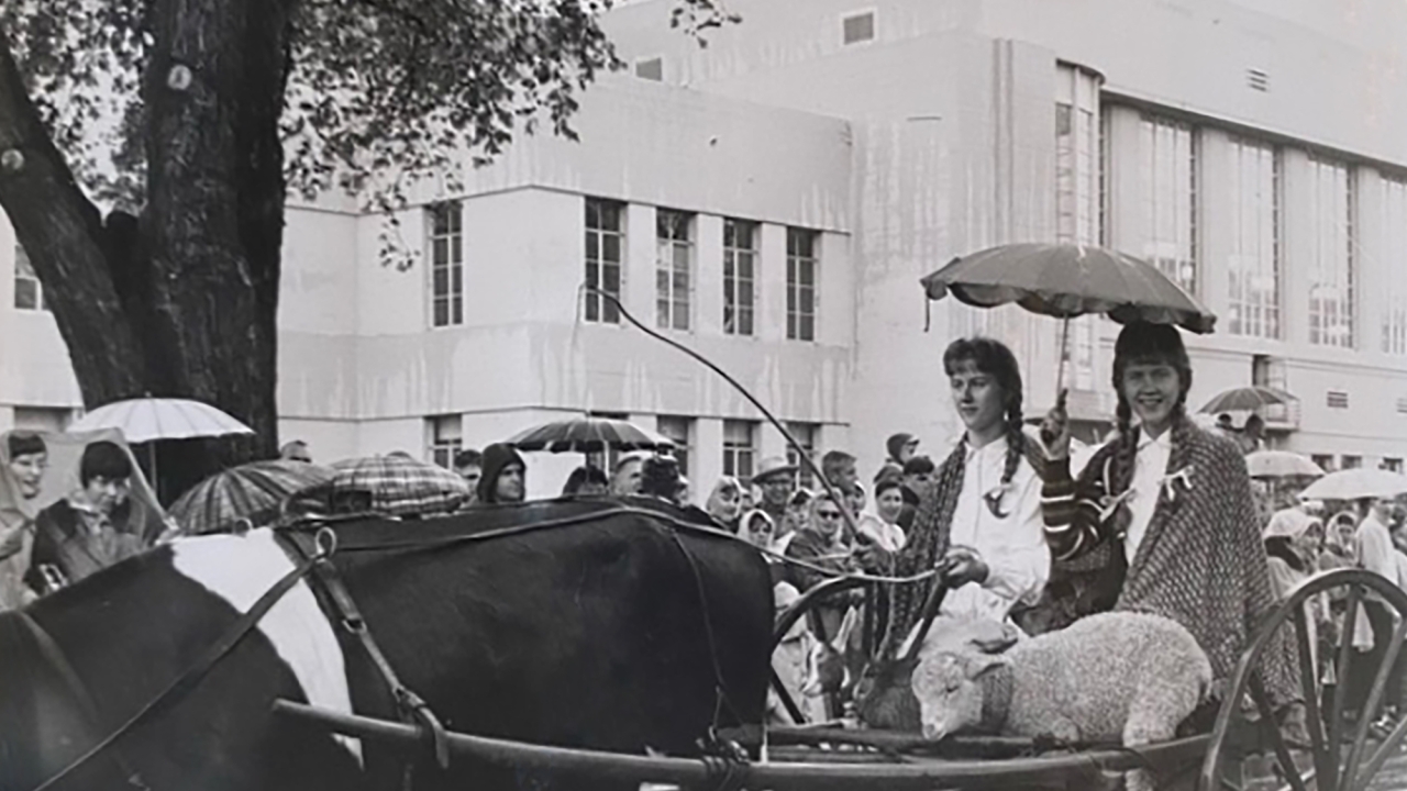Black and white photo of the sisters riding a cart pulled by a cow in the Picnic Day parade on campus. They are holding an umbrella in the rain.