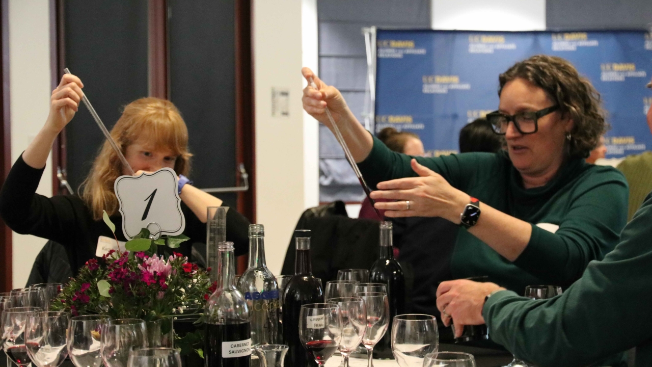 Wine Blending Event 15