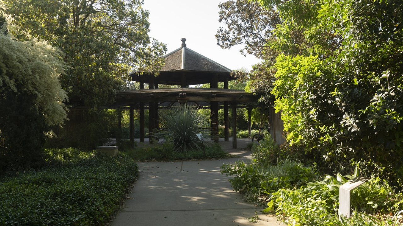 Photo of the Arboretum and Gazebo