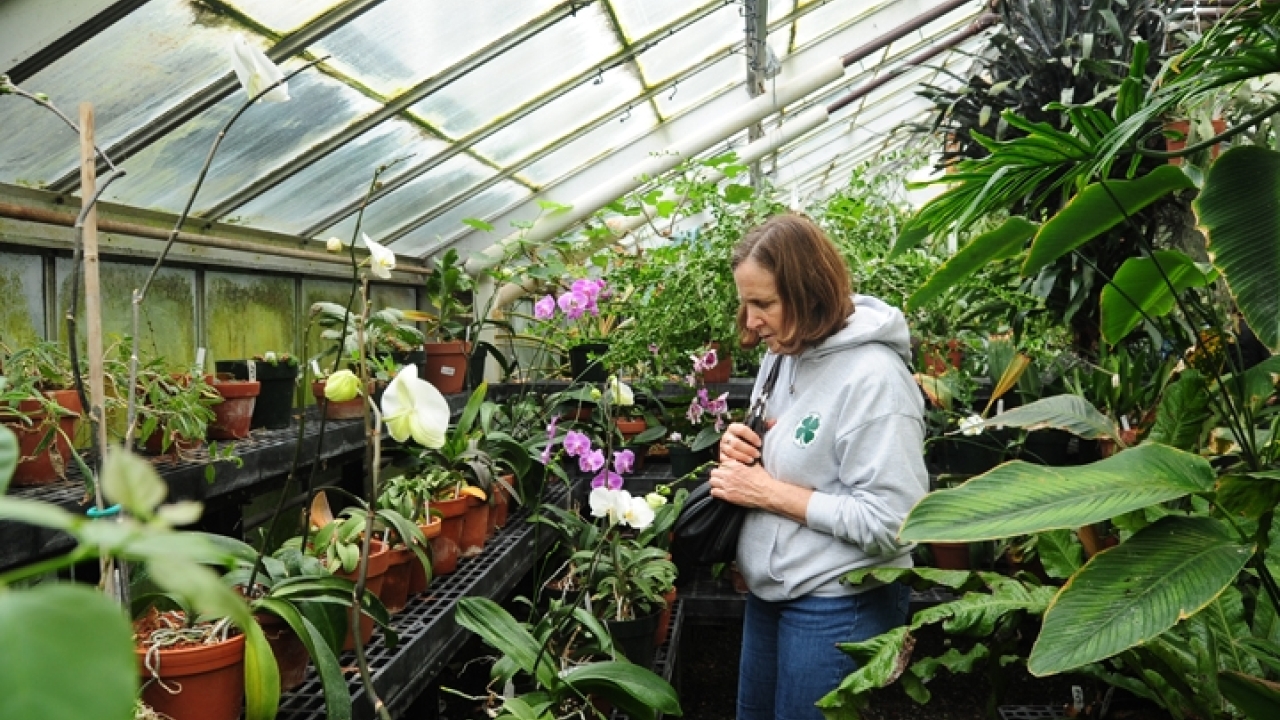 photo of inside the botanical conservatory, plants on the right and left sides with a person in the middle looking down at the plants