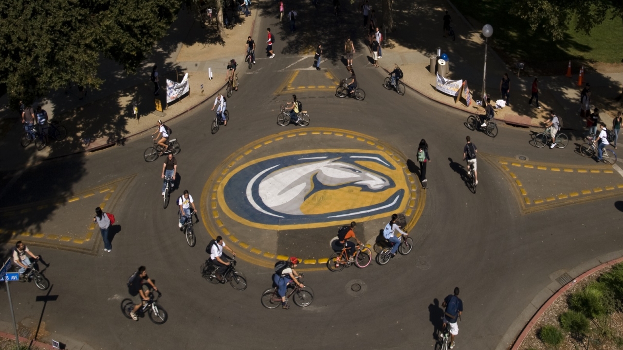 Students bike around a roundabout