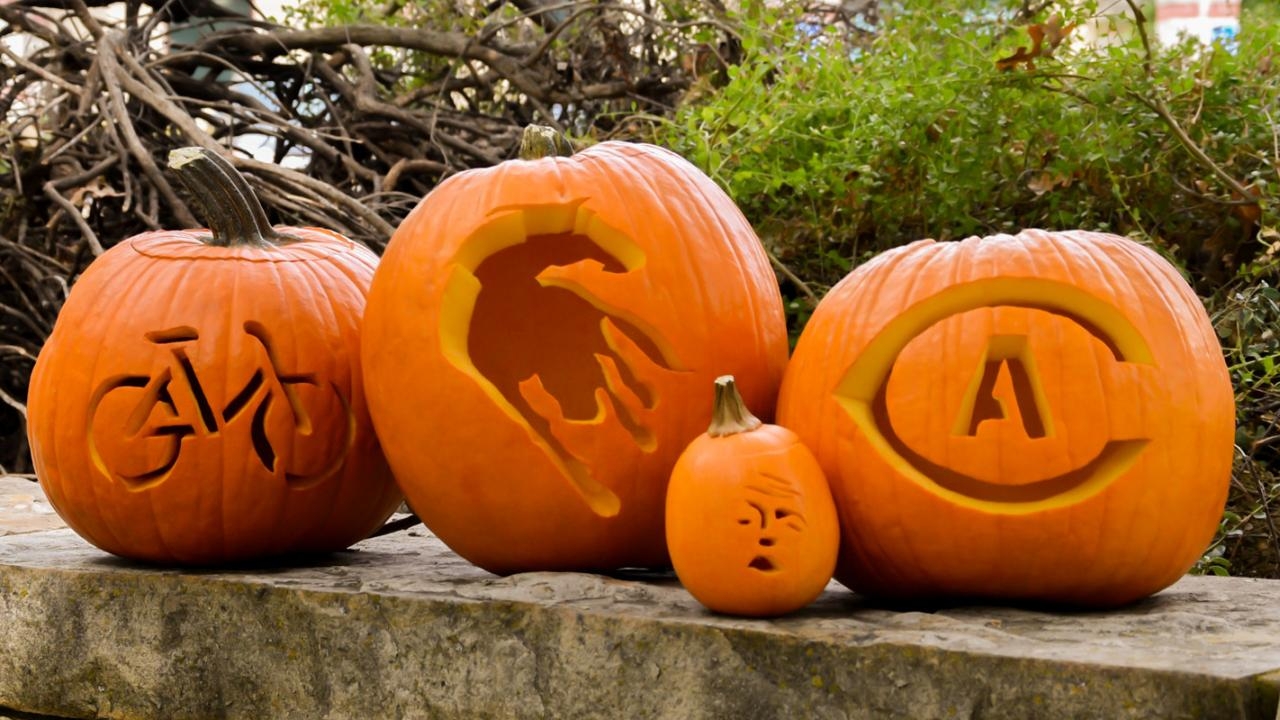punpkins with the Cal Aggie logo