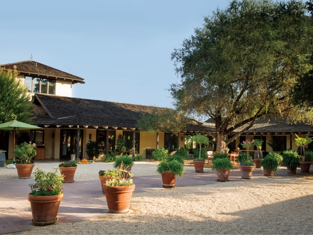 Sunlit courtyard with terracotta potted plants, tiled-roof building and trees.