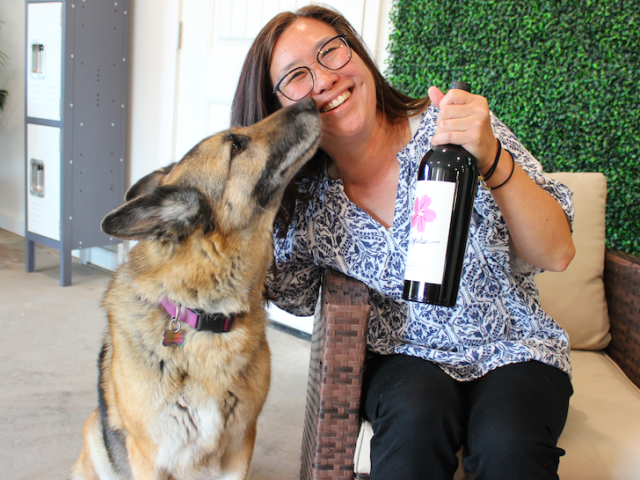 Smiling woman on patio holding a wine bottle as a German shepherd licks her cheek