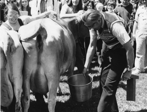 Chancellor James Meyer Milking Cow 1975