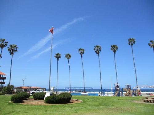 Sunny coastal park with tall palm trees, green lawn and blue ocean horizon