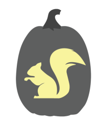 Pumpkin stencil of a squirrel