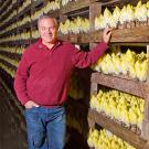 Richard Collins in front of rows of endive